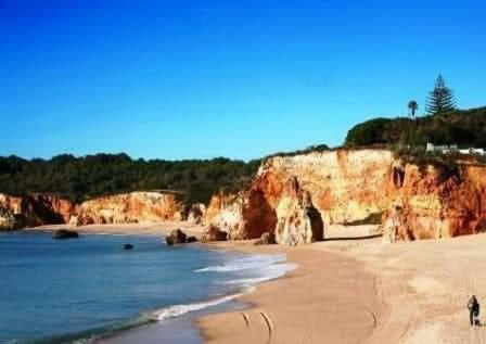 Beach View Apartment 波尔蒂芒 外观 照片